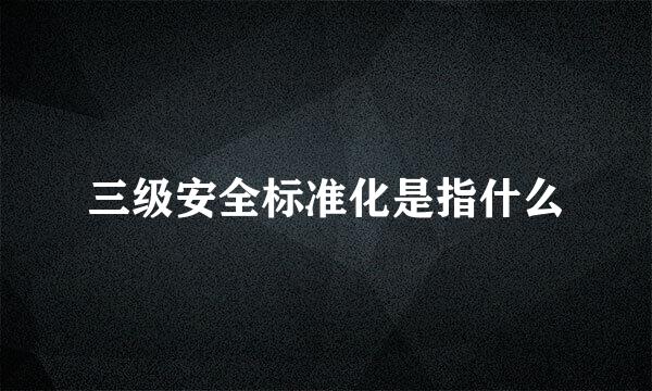 三级安全标准化是指什么