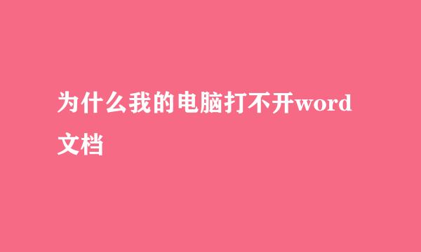 为什么我的电脑打不开word文档