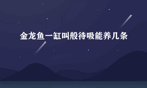 金龙鱼一缸叫般待吸能养几条