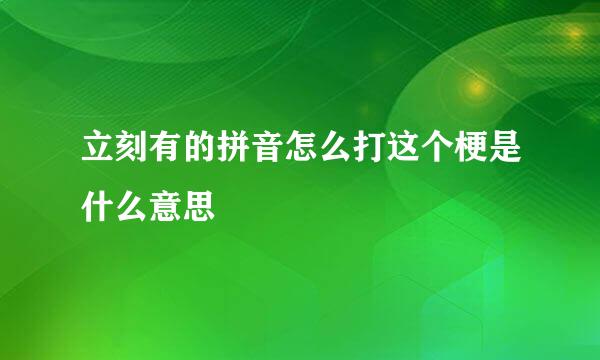 立刻有的拼音怎么打这个梗是什么意思