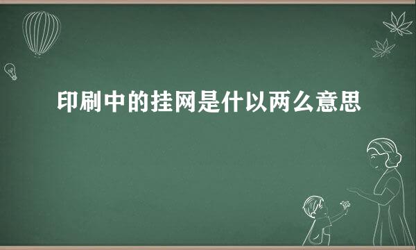 印刷中的挂网是什以两么意思