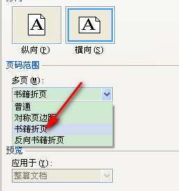 怎样把A4排版成A3格式？