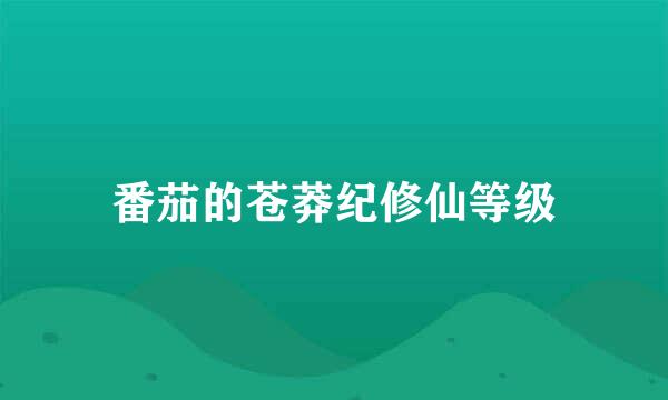 番茄的苍莽纪修仙等级