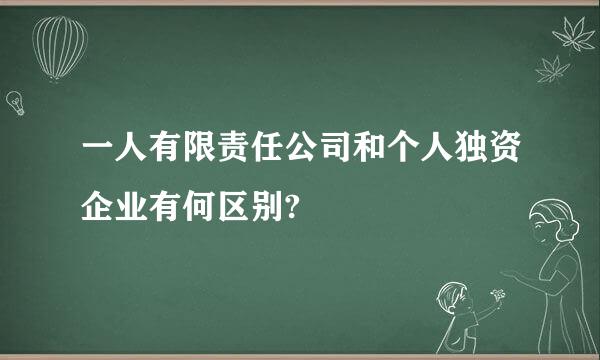 一人有限责任公司和个人独资企业有何区别?