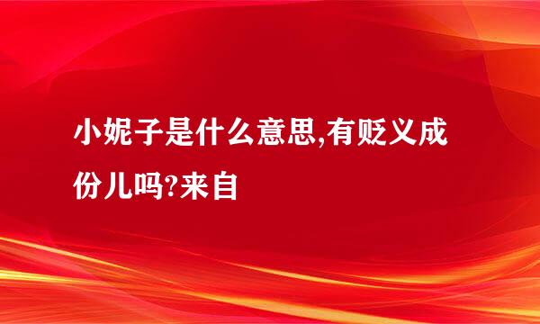 小妮子是什么意思,有贬义成份儿吗?来自