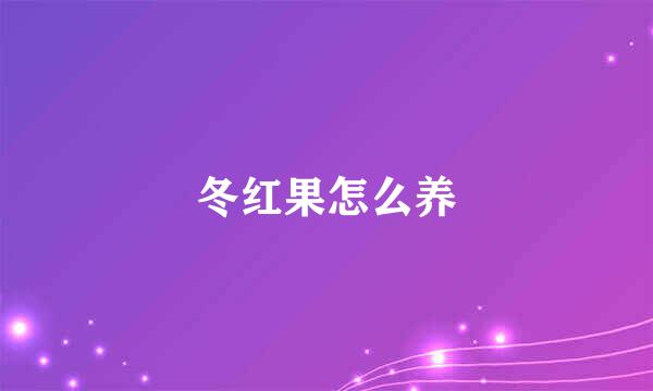 冬红果怎么养