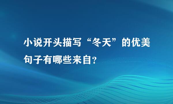 小说开头描写“冬天”的优美句子有哪些来自？