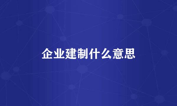 企业建制什么意思