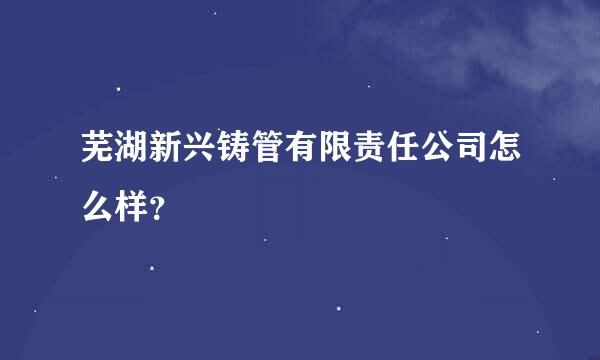 芜湖新兴铸管有限责任公司怎么样？