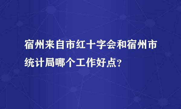 宿州来自市红十字会和宿州市统计局哪个工作好点？