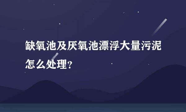 缺氧池及厌氧池漂浮大量污泥怎么处理？