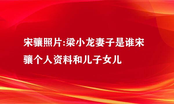 宋骧照片:梁小龙妻子是谁宋骧个人资料和儿子女儿