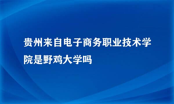 贵州来自电子商务职业技术学院是野鸡大学吗