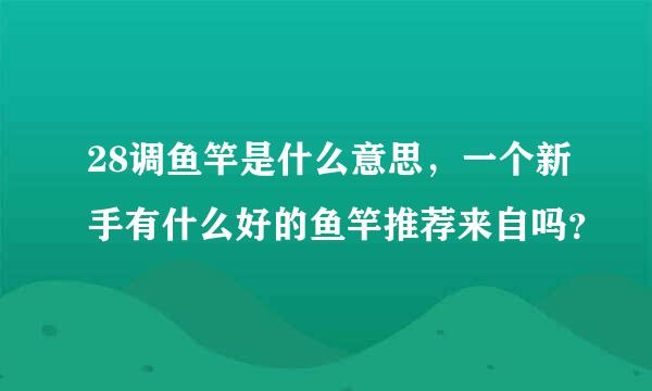 28调鱼竿是什么意思，一个新手有什么好的鱼竿推荐来自吗？