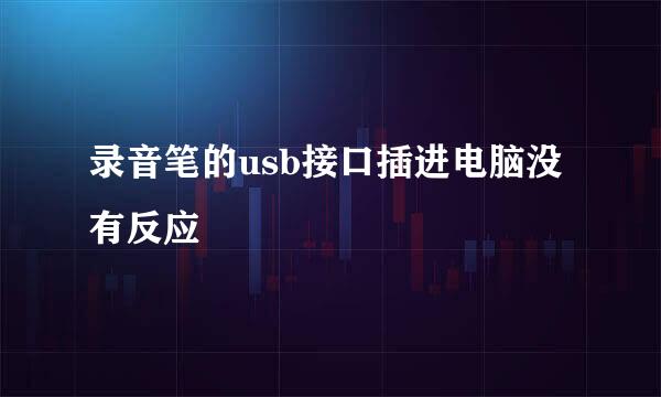 录音笔的usb接口插进电脑没有反应