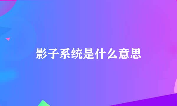 影子系统是什么意思