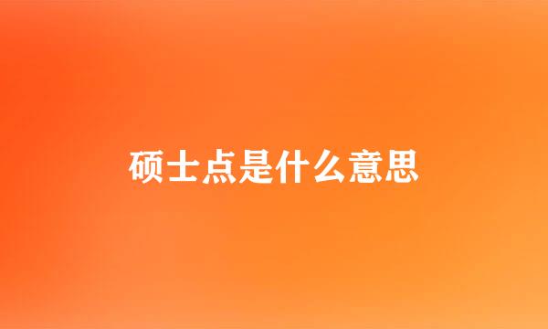 硕士点是什么意思