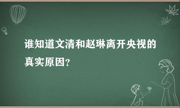 谁知道文清和赵琳离开央视的真实原因？