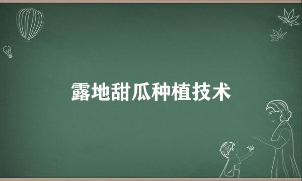 露地甜瓜种植技术