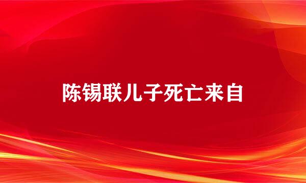 陈锡联儿子死亡来自