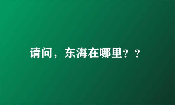 请问，东海在哪里？？