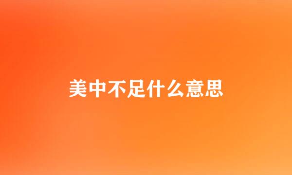 美中不足什么意思