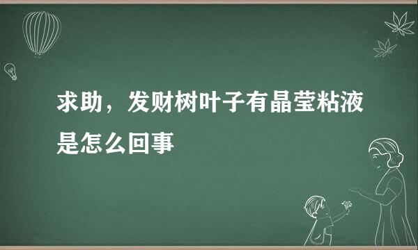 求助，发财树叶子有晶莹粘液是怎么回事