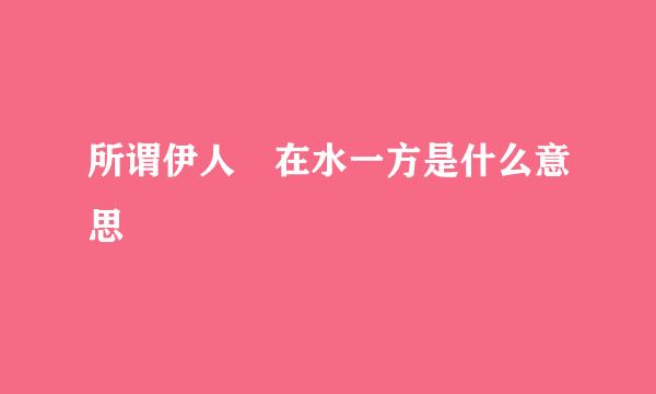 所谓伊人 在水一方是什么意思