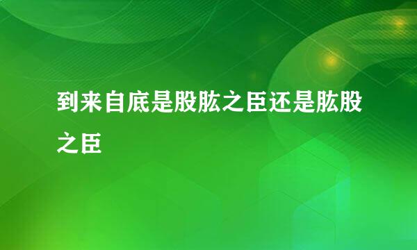 到来自底是股肱之臣还是肱股之臣