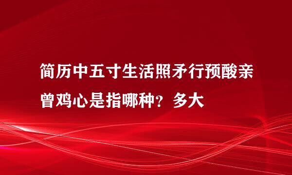 简历中五寸生活照矛行预酸亲曾鸡心是指哪种？多大