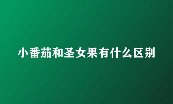 小番茄和圣女果有什么区别