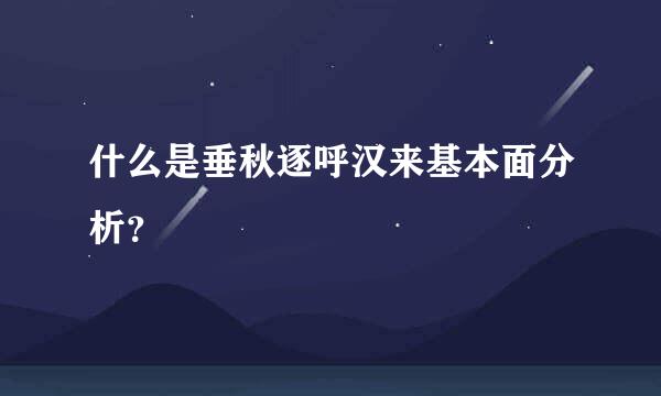 什么是垂秋逐呼汉来基本面分析？