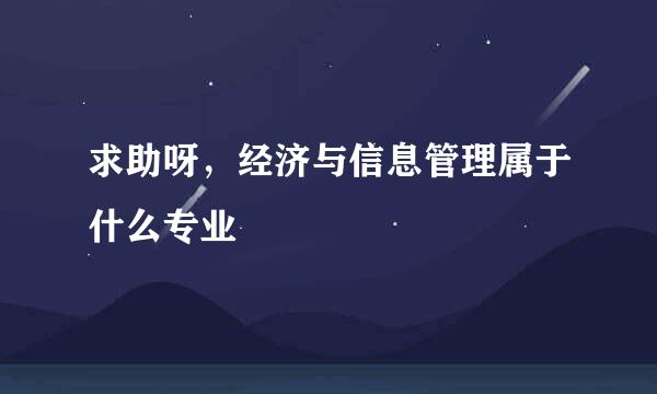 求助呀，经济与信息管理属于什么专业