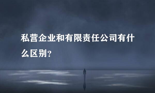 私营企业和有限责任公司有什么区别？