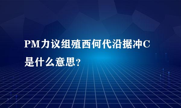 PM力议组殖西何代沿据冲C是什么意思？