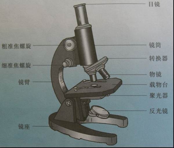 有没有显微镜结构图，要带名称的