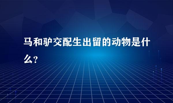 马和驴交配生出留的动物是什么？