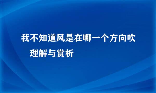 我不知道风是在哪一个方向吹 理解与赏析