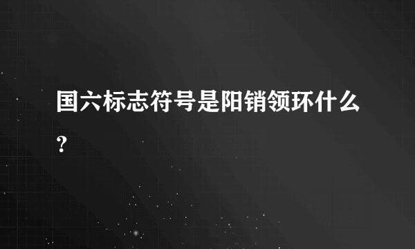 国六标志符号是阳销领环什么？