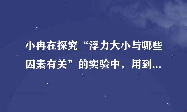 小冉在探究“浮力大小与哪些因素有关”的实验中，用到如下器材