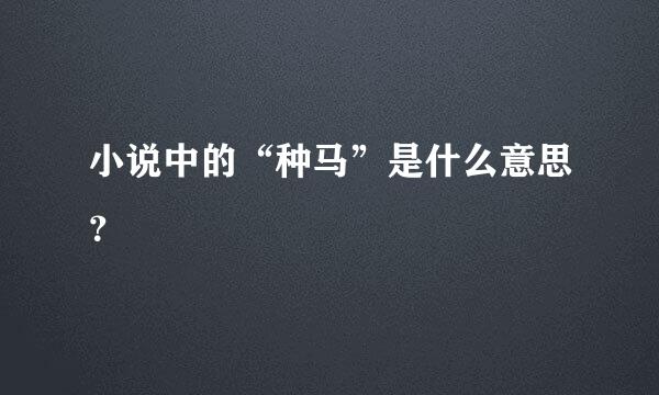 小说中的“种马”是什么意思？