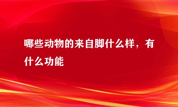 哪些动物的来自脚什么样，有什么功能