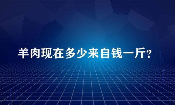 羊肉现在多少来自钱一斤？