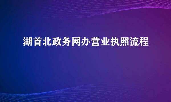 湖首北政务网办营业执照流程