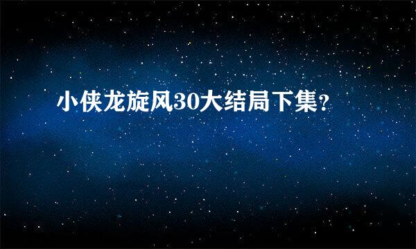 小侠龙旋风30大结局下集？