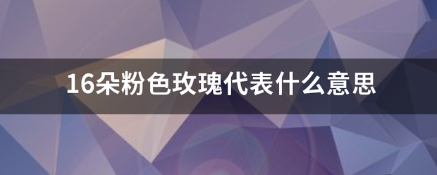 16朵粉色玫瑰代表什么意思