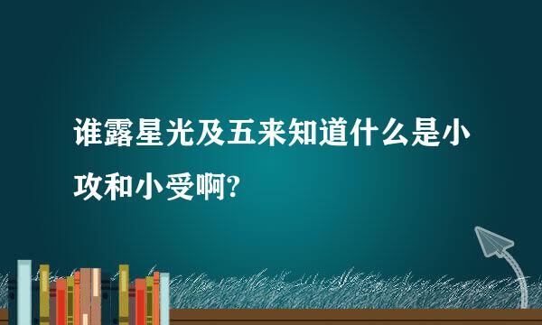 谁露星光及五来知道什么是小攻和小受啊?