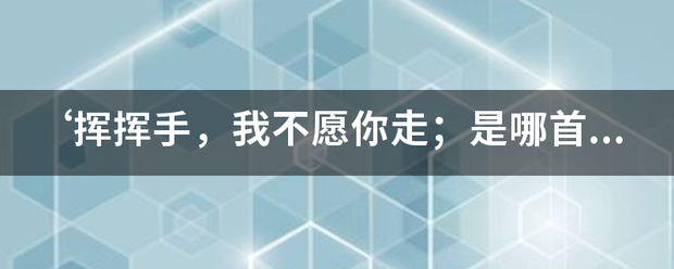 ‘挥挥手元土附光额拿总初，我不愿你走；是哪来自首歌的里的一句歌词？