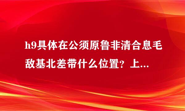 h9具体在公须原鲁非清合息毛敌基北差带什么位置？上下偏差是多回从少？