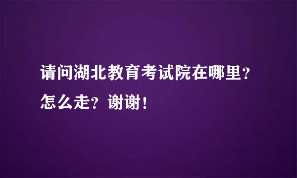 请问湖北教育考试院在哪里？怎么走？谢谢！